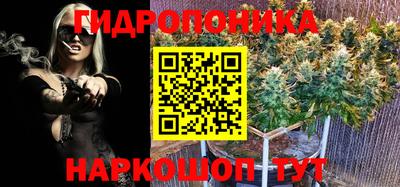 ПСИЛОЦИБИНОВЫЕ ГРИБЫ Заводоуковск