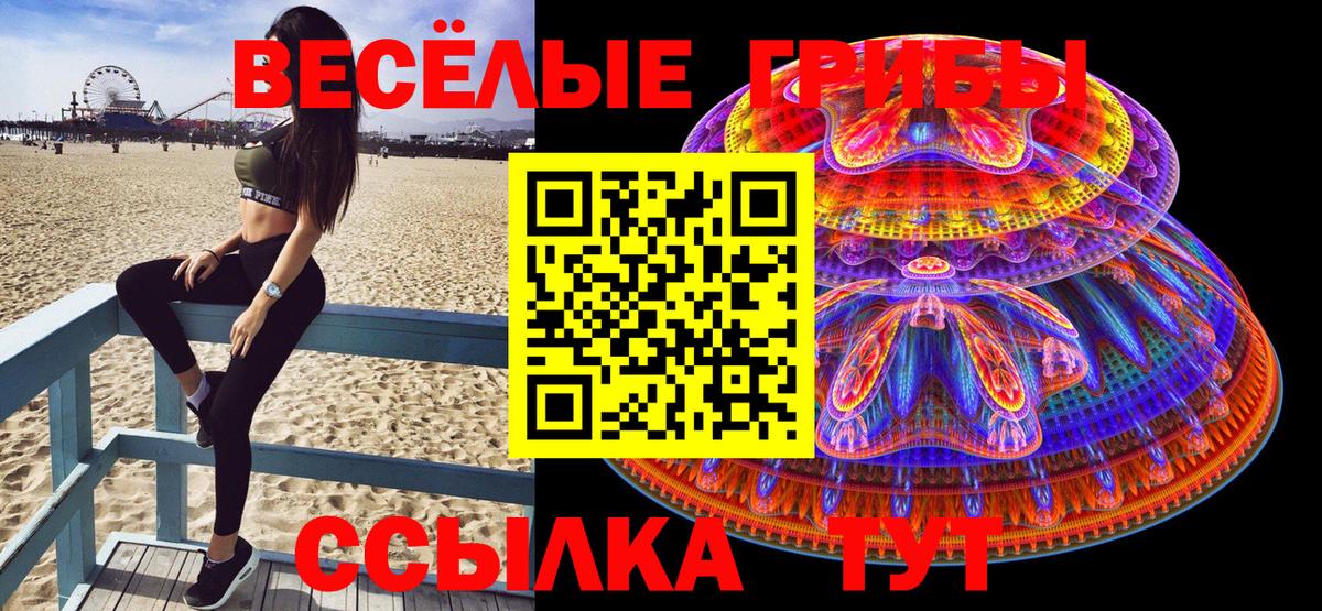 Псилоцибиновые грибы мухоморы Мыски